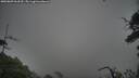 ./images/calvert/fitz-hugh-hecate/20250809/fitz-hugh-hecate20250809_063510M.jpg