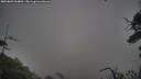 ./images/calvert/fitz-hugh-hecate/20250809/fitz-hugh-hecate20250809_064010M.jpg