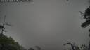 ./images/calvert/fitz-hugh-hecate/20250809/fitz-hugh-hecate20250809_064508M.jpg
