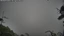 ./images/calvert/fitz-hugh-hecate/20250809/fitz-hugh-hecate20250809_065010M.jpg