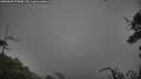 ./images/calvert/fitz-hugh-hecate/20250809/fitz-hugh-hecate20250809_070010M.jpg