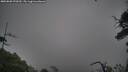 ./images/calvert/fitz-hugh-hecate/20250809/fitz-hugh-hecate20250809_070510M.jpg