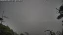 ./images/calvert/fitz-hugh-hecate/20250809/fitz-hugh-hecate20250809_071010M.jpg