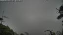 ./images/calvert/fitz-hugh-hecate/20250809/fitz-hugh-hecate20250809_071510M.jpg