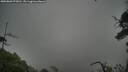 ./images/calvert/fitz-hugh-hecate/20250809/fitz-hugh-hecate20250809_072011M.jpg