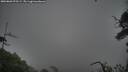 ./images/calvert/fitz-hugh-hecate/20250809/fitz-hugh-hecate20250809_075509M.jpg