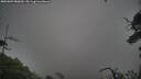 ./images/calvert/fitz-hugh-hecate/20250809/fitz-hugh-hecate20250809_080010M.jpg