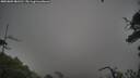./images/calvert/fitz-hugh-hecate/20250809/fitz-hugh-hecate20250809_081511M.jpg