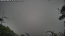 ./images/calvert/fitz-hugh-hecate/20250809/fitz-hugh-hecate20250809_082009M.jpg