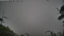 ./images/calvert/fitz-hugh-hecate/20250809/fitz-hugh-hecate20250809_082509M.jpg
