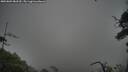 ./images/calvert/fitz-hugh-hecate/20250809/fitz-hugh-hecate20250809_083510M.jpg