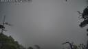 ./images/calvert/fitz-hugh-hecate/20250809/fitz-hugh-hecate20250809_085510M.jpg