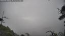 ./images/calvert/fitz-hugh-hecate/20250809/fitz-hugh-hecate20250809_095011M.jpg