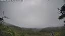 ./images/calvert/fitz-hugh-hecate/20250809/fitz-hugh-hecate20250809_101010M.jpg