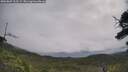 ./images/calvert/fitz-hugh-hecate/20250809/fitz-hugh-hecate20250809_103509M.jpg