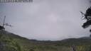./images/calvert/fitz-hugh-hecate/20250809/fitz-hugh-hecate20250809_104510M.jpg
