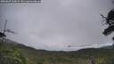 ./images/calvert/fitz-hugh-hecate/20250809/fitz-hugh-hecate20250809_105008M.jpg