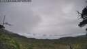 ./images/calvert/fitz-hugh-hecate/20250809/fitz-hugh-hecate20250809_105509M.jpg