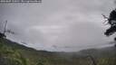 ./images/calvert/fitz-hugh-hecate/20250809/fitz-hugh-hecate20250809_110010M.jpg