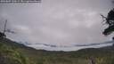 ./images/calvert/fitz-hugh-hecate/20250809/fitz-hugh-hecate20250809_110509M.jpg