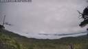 ./images/calvert/fitz-hugh-hecate/20250809/fitz-hugh-hecate20250809_111009M.jpg