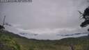 ./images/calvert/fitz-hugh-hecate/20250809/fitz-hugh-hecate20250809_111510M.jpg