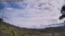 ./images/calvert/fitz-hugh-hecate/20250809/fitz-hugh-hecate20250809_113011M.jpg