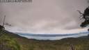 ./images/calvert/fitz-hugh-hecate/20250809/fitz-hugh-hecate20250809_115010M.jpg
