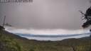 ./images/calvert/fitz-hugh-hecate/20250809/fitz-hugh-hecate20250809_115510M.jpg
