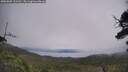 ./images/calvert/fitz-hugh-hecate/20250809/fitz-hugh-hecate20250809_121511M.jpg