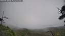 ./images/calvert/fitz-hugh-hecate/20250809/fitz-hugh-hecate20250809_122009M.jpg
