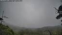 ./images/calvert/fitz-hugh-hecate/20250809/fitz-hugh-hecate20250809_125007M.jpg