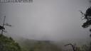 ./images/calvert/fitz-hugh-hecate/20250809/fitz-hugh-hecate20250809_125510M.jpg