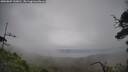 ./images/calvert/fitz-hugh-hecate/20250809/fitz-hugh-hecate20250809_130011M.jpg