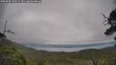./images/calvert/fitz-hugh-hecate/20250809/fitz-hugh-hecate20250809_130509M.jpg
