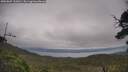 ./images/calvert/fitz-hugh-hecate/20250809/fitz-hugh-hecate20250809_131011M.jpg