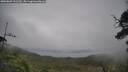 ./images/calvert/fitz-hugh-hecate/20250809/fitz-hugh-hecate20250809_131509M.jpg
