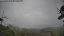 ./images/calvert/fitz-hugh-hecate/20250809/fitz-hugh-hecate20250809_132510M.jpg