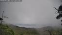 ./images/calvert/fitz-hugh-hecate/20250809/fitz-hugh-hecate20250809_133012M.jpg