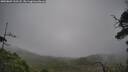 ./images/calvert/fitz-hugh-hecate/20250809/fitz-hugh-hecate20250809_133508M.jpg