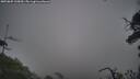 ./images/calvert/fitz-hugh-hecate/20250809/fitz-hugh-hecate20250809_135010M.jpg