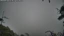./images/calvert/fitz-hugh-hecate/20250809/fitz-hugh-hecate20250809_152508M.jpg