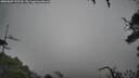 ./images/calvert/fitz-hugh-hecate/20250809/fitz-hugh-hecate20250809_155510M.jpg