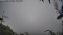./images/calvert/fitz-hugh-hecate/20250809/fitz-hugh-hecate20250809_161510M.jpg