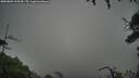 ./images/calvert/fitz-hugh-hecate/20250809/fitz-hugh-hecate20250809_165509M.jpg