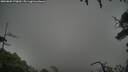 ./images/calvert/fitz-hugh-hecate/20250809/fitz-hugh-hecate20250809_170009M.jpg