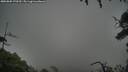 ./images/calvert/fitz-hugh-hecate/20250809/fitz-hugh-hecate20250809_170510M.jpg