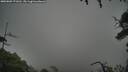 ./images/calvert/fitz-hugh-hecate/20250809/fitz-hugh-hecate20250809_171010M.jpg