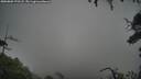 ./images/calvert/fitz-hugh-hecate/20250809/fitz-hugh-hecate20250809_172508M.jpg