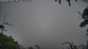 ./images/calvert/fitz-hugh-hecate/20250809/fitz-hugh-hecate20250809_173509M.jpg